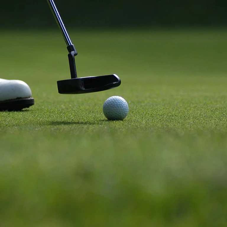 Enhancing Style and Protection with Elegant Golf Club Covers for Women