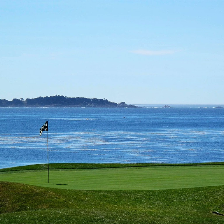 The Vibrant World of Premium Golf Balls