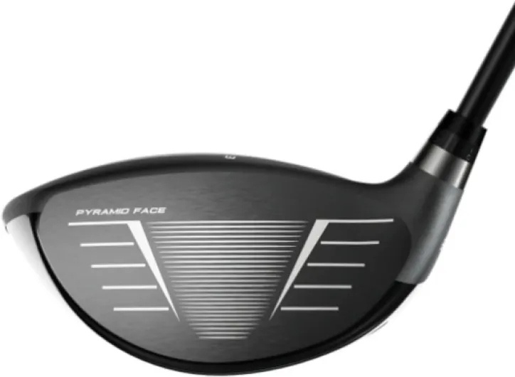 51SJXaiHIsL._AC_SL1207_