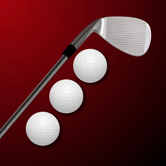 51Ipok bJsL._AC_SL1500_