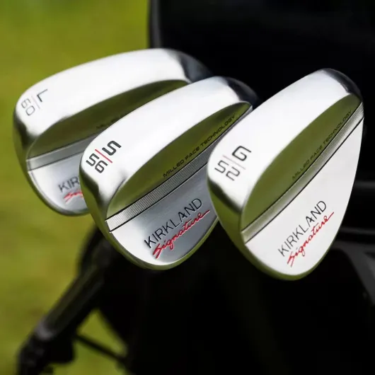 61LyNPvSseL._AC_SL1200_