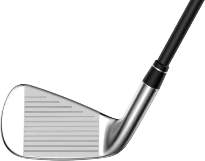 61OjqqBFSsL._AC_SL1500_