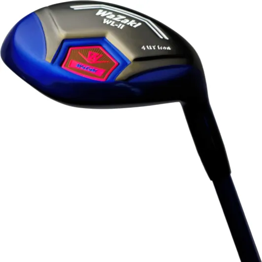 61gv9Eb c8L._AC_SL1500_