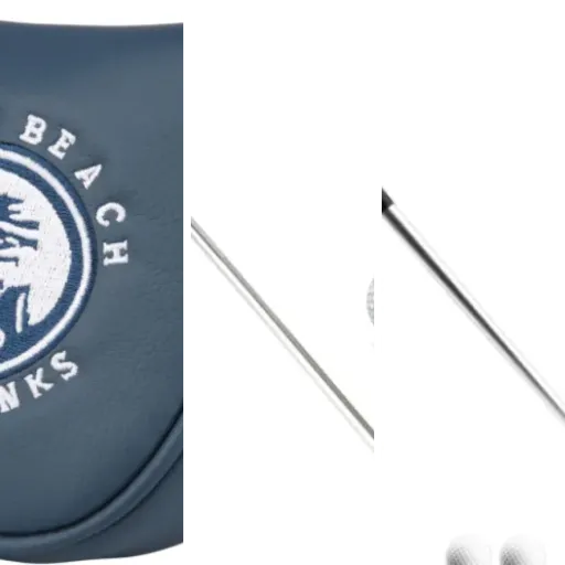 5 best golf Center Shafted Putters: our comparison (2026)