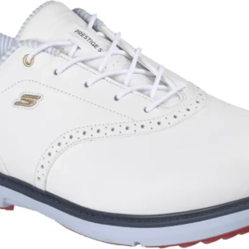 Skechers Men's Prestige Slip-in Arch Fit Golf Shoe Review: lazy slip-on comfort for casual golfers