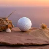 Coastal Cliffs and Desert Sands: International Courses Opening Their Doors in 2026
